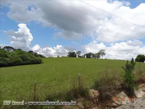 FAZENDA 857 HECTARES COM 2800M SOBRE  BR 116 -LAGES/SC