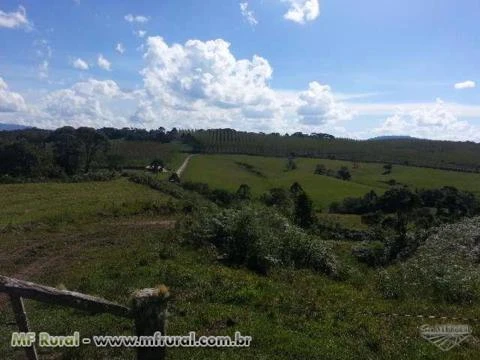Fazenda na Serra Catarinense 456 hectares -Uma linda Boa Casa Sede -Boa área para Plantio.