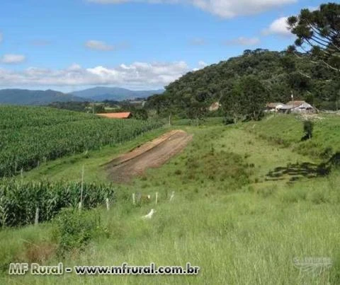 Pequena Fazenda 55 hectares com 30 hectares de aproveitamento.