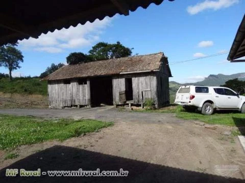 Belíssima área rural 280.000,00 m² ,com instalação completa de ordenha