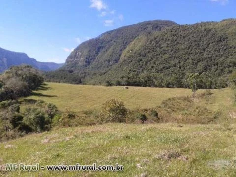 Belíssima área rural 280.000,00 m² ,com instalação completa de ordenha