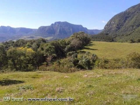 Belíssima área rural 280.000,00 m² ,com instalação completa de ordenha