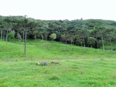 Fazenda em Bom Retiro na Serra Catarinense, 240 hec ideal para pecuária