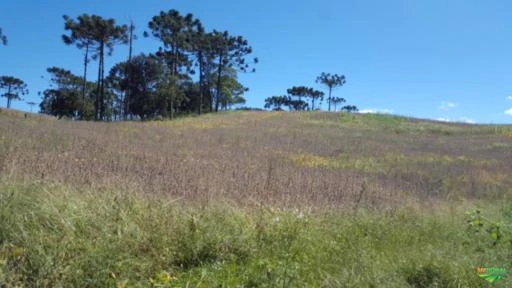 Fazenda na Serra Catarinense-Bom Retiro - 509 hectares