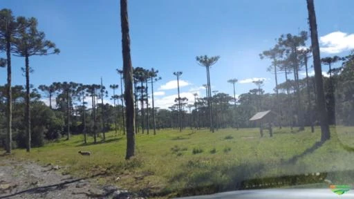 Fazenda na Serra Catarinense-Bom Retiro - 509 hectares