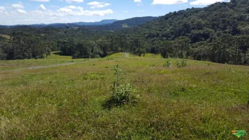 Fazenda na Serra Catarinense-Bom Retiro - 509 hectares