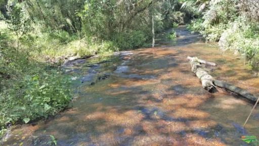 Fazenda na Serra Catarinense-Bom Retiro - 509 hectares