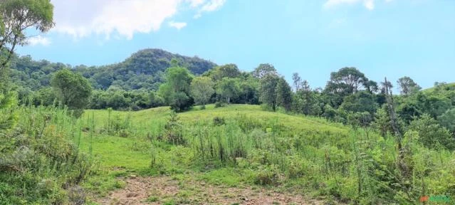 Alfredo Wagner- Serra Catarinense- Terreno Rural para seu Sítio