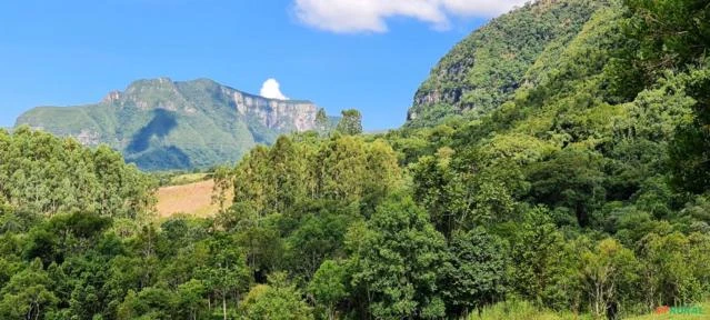 Alfredo Wagner- Serra Catarinense- Terreno Rural para seu Sítio