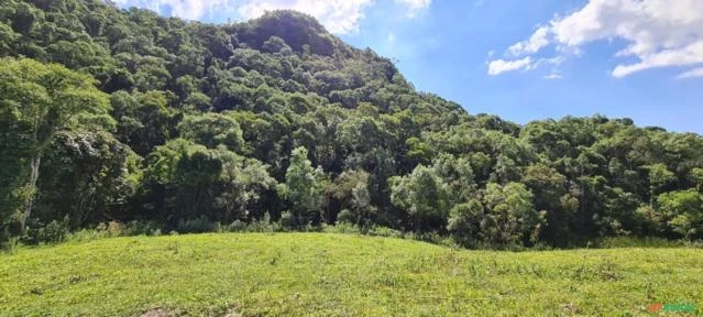 Alfredo Wagner- Serra Catarinense- Terreno Rural para seu Sítio