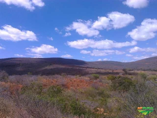 Fazenda no municipio de Jequié - Bahia.