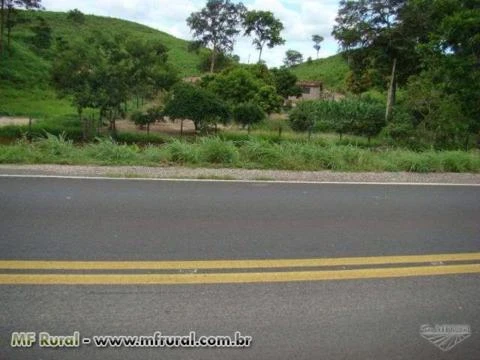Fazenda de 350 ha produzindo, estruturada, no asfalto da BR 135 a 100 km de Barreiras.