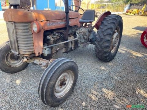 TRATOR MASSEY FERGUSON MODELO 65X ANO 71 Imagem TRATOR MASSEY FERGUSON MODELO 65X ANO 71