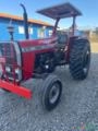 TRATOR MASSEY FERGUSON MODELO 275 ANO 89 Imagem TRATOR MASSEY FERGUSON MODELO 275 ANO 89