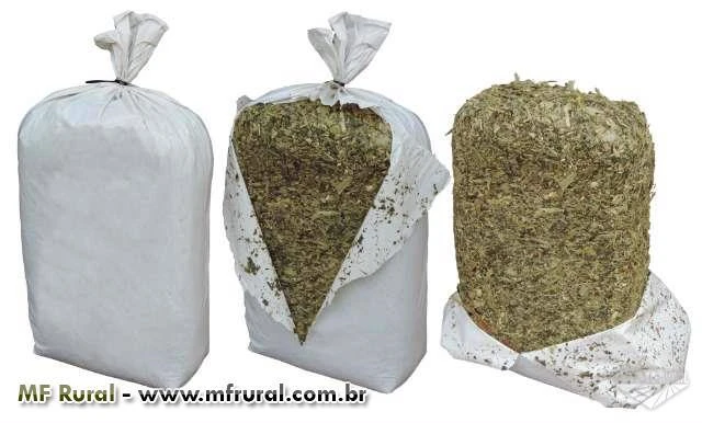 Silagem de milho alto padrão 100% de grãos, em sacos plásticos selados de 30 kg