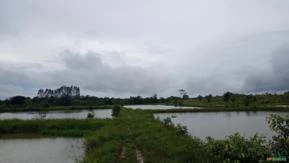 FAZENDA PARA PISCICULTURA