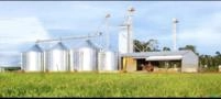 Silo Armazenador de grãos Imagem Silo Armazenador de grãos