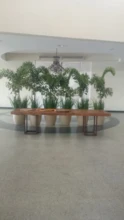 Locação de plantas em vasos em Brasília DF