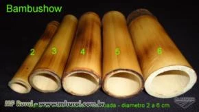 BAMBU PARA ESTACA DE TOMATE E BAMBU TRATADO PARA MÓVEIS