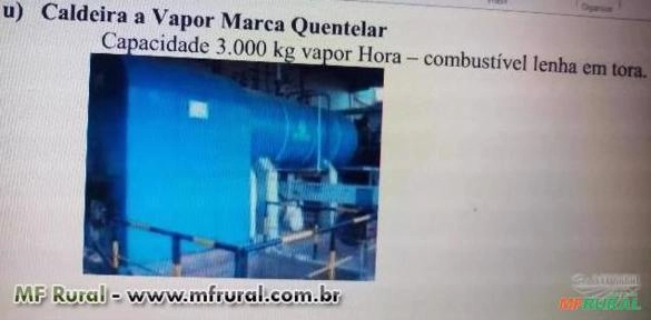 Imagem Fecularia de Mandioca Marca REX Imagem Fecularia de Mandioca Marca REX