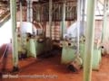 Industria para Extração de Amido de Milho Imagem Industria para Extração de Amido de Milho