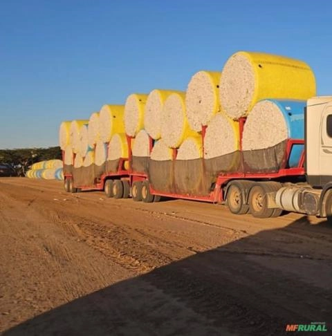 Rodotrem algodoeira transporte de algodão fardo Imagem Rodotrem algodoeira transporte de algodão fardo