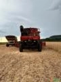 Colheitadeira Case IH 5130 com Plataforma de corte 25 Pés Caracol - Ano 2019 Imagem Colheitadeira Case IH 5130 com Plataforma de corte 25 Pés Caracol - Ano 2019