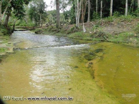 Chacara com Corredeira e Igarape com pequenas cachoeiras.