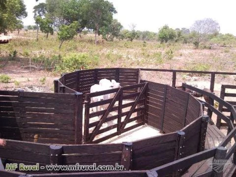 Fazenda no Tocantins