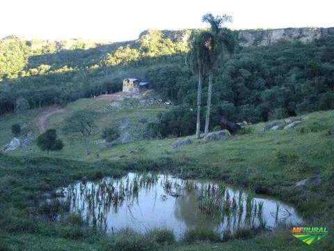 Vende-se linda Chacara em Campo Largo, na escosta da Serra do Puruna, apenas 3km da BR-277