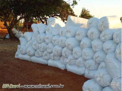 EMBUTIDORAS DE SILAGEM ENSACADA Imagem EMBUTIDORAS DE SILAGEM ENSACADA