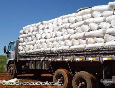 Imagem MAQUINÁRIO PARA SILAGEM Imagem MAQUINÁRIO PARA SILAGEM