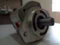 Bomba hidráulica simples para misturador Casale - Rotormix