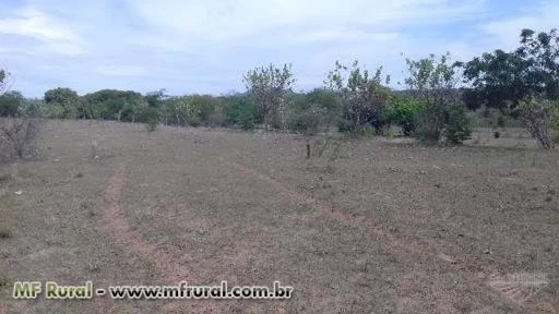 Fazenda em Tanhaçu/BA margeada por Rio perene com 280 hectares