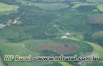 Fazenda em Luminárias - MG com 239 hectares.