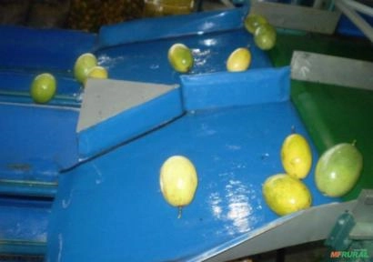 Imagem MÁQUINA PARA O BENEFICIAMENTO DE MARACUJÁ Imagem MÁQUINA PARA O BENEFICIAMENTO DE MARACUJÁ
