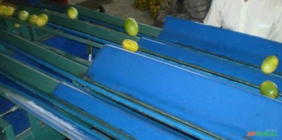 Imagem MÁQUINA PARA O BENEFICIAMENTO DE MARACUJÁ Imagem MÁQUINA PARA O BENEFICIAMENTO DE MARACUJÁ