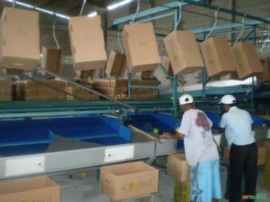 Imagem MÁQUINA PARA O BENEFICIAMENTO DE MARACUJÁ Imagem MÁQUINA PARA O BENEFICIAMENTO DE MARACUJÁ