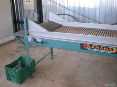 MÁQUINA PARA O BENEFICIAMENTO E  CLASSIFICAÇÃO DE SWEET GRAPE Imagem MÁQUINA PARA O BENEFICIAMENTO E  CLASSIFICAÇÃO DE SWEET GRAPE