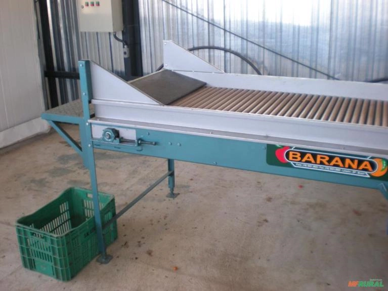 MÁQUINA PARA O BENEFICIAMENTO E  CLASSIFICAÇÃO DE SWEET GRAPE Imagem MÁQUINA PARA O BENEFICIAMENTO E  CLASSIFICAÇÃO DE SWEET GRAPE