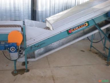 Imagem MÁQUINA PARA O BENEFICIAMENTO E  CLASSIFICAÇÃO DE SWEET GRAPE Imagem MÁQUINA PARA O BENEFICIAMENTO E  CLASSIFICAÇÃO DE SWEET GRAPE