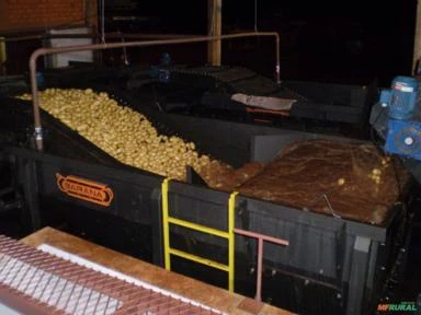 Imagem MÁQUINA PARA O BENEFICIAMENTO E CLASSIFICAÇÃO DE BATATA Imagem MÁQUINA PARA O BENEFICIAMENTO E CLASSIFICAÇÃO DE BATATA
