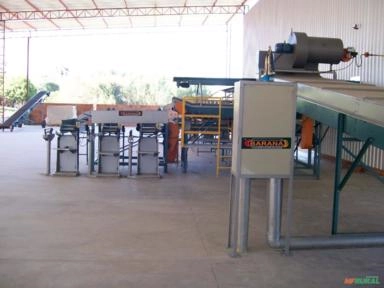 Imagem MÁQUINA PARA O BENEFICIAMENTO E CLASSIFICAÇÃO DE BATATA Imagem MÁQUINA PARA O BENEFICIAMENTO E CLASSIFICAÇÃO DE BATATA