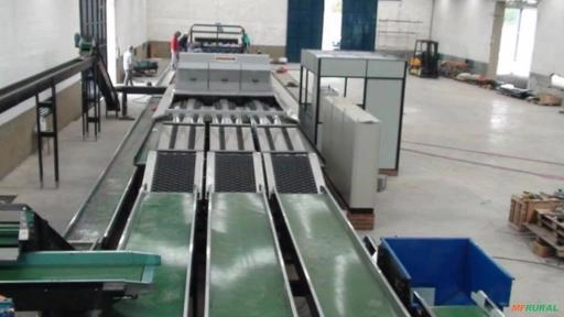 Imagem MÁQUINA PARA O BENEFICIAMENTO E CLASSIFICAÇÃO DE BATATA Imagem MÁQUINA PARA O BENEFICIAMENTO E CLASSIFICAÇÃO DE BATATA