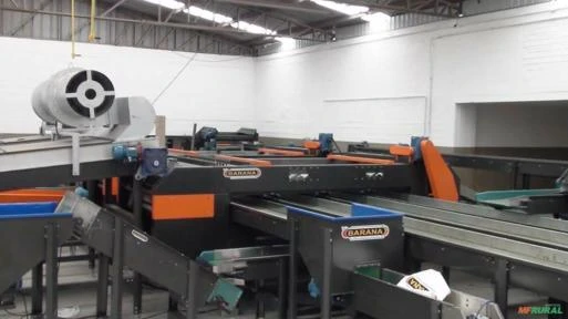 Imagem MÁQUINA PARA O BENEFICIAMENTO E CLASSIFICAÇÃO DE BATATA Imagem MÁQUINA PARA O BENEFICIAMENTO E CLASSIFICAÇÃO DE BATATA