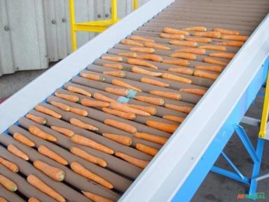 MÁQUINA PARA O BENEFICIAMENTO DE CENOURA Imagem MÁQUINA PARA O BENEFICIAMENTO DE CENOURA