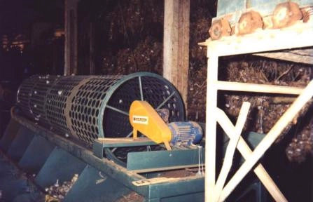 Imagem MÁQUINA PARA O BENEFICIAMENTO DE ALHO Imagem MÁQUINA PARA O BENEFICIAMENTO DE ALHO