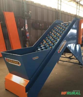 CONTADORA DE LARANJAS Imagem CONTADORA DE LARANJAS