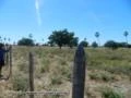 Fazenda as margens do Rio São Francisco / BA. 500 ha.