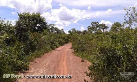 VENDE SE UMA FAZENDA DE 50 HA - ARINOS/MG